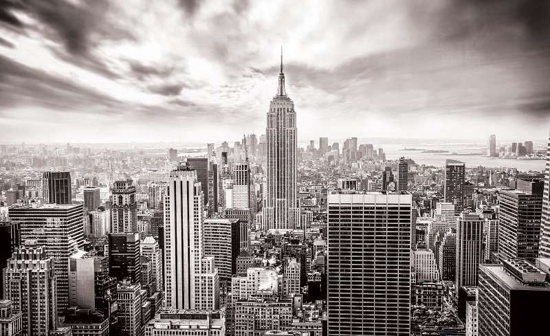 Black and white wall mural of New York city - 2318