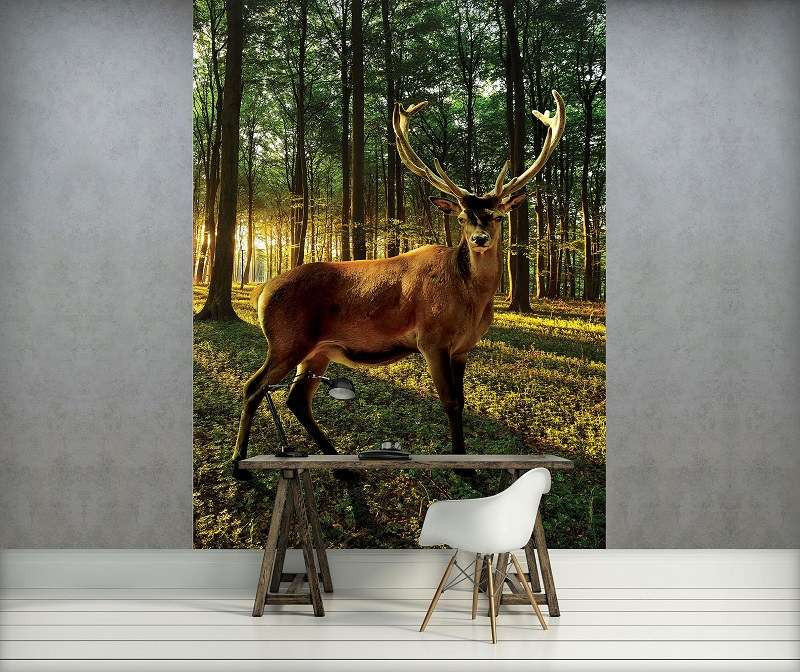 Deer closeup image, wild animals wall mural - 3194A