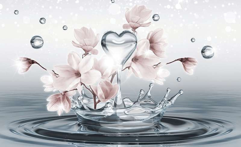 Heart shape water drop with flowers wall mural -10163