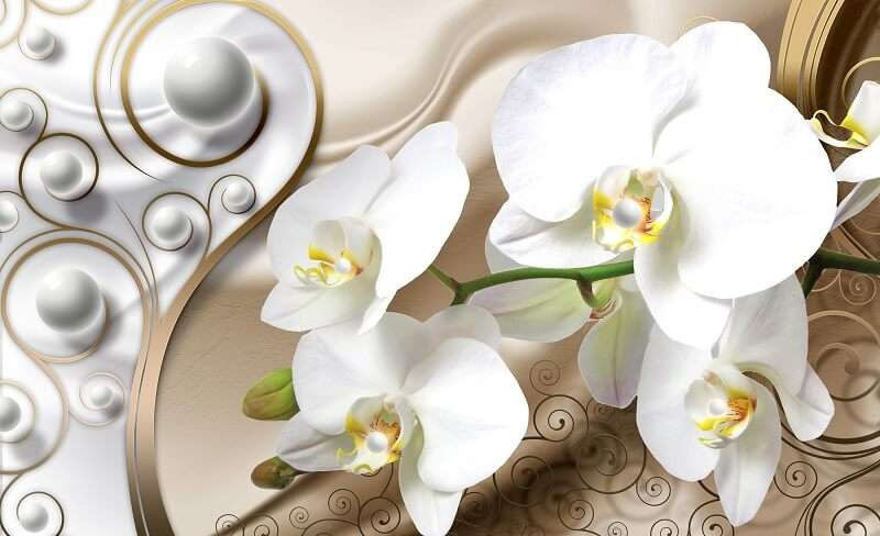 White orchid art photowall -2952