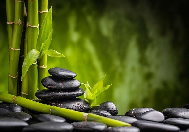 Bamboo and zen stones calming wall mural - 13036