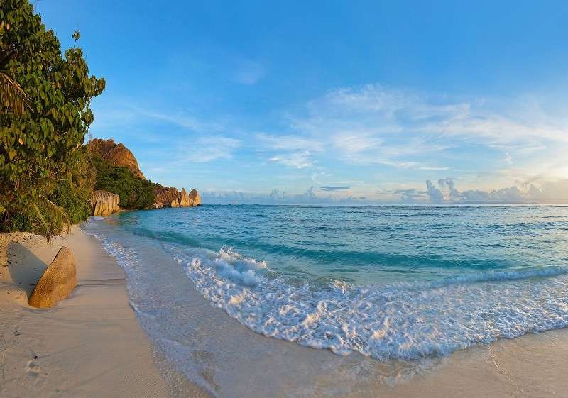 Exotic beach photo wall mural - 11849