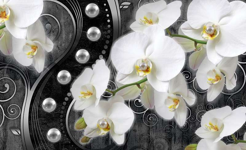 Orchid design wall mural - 2973