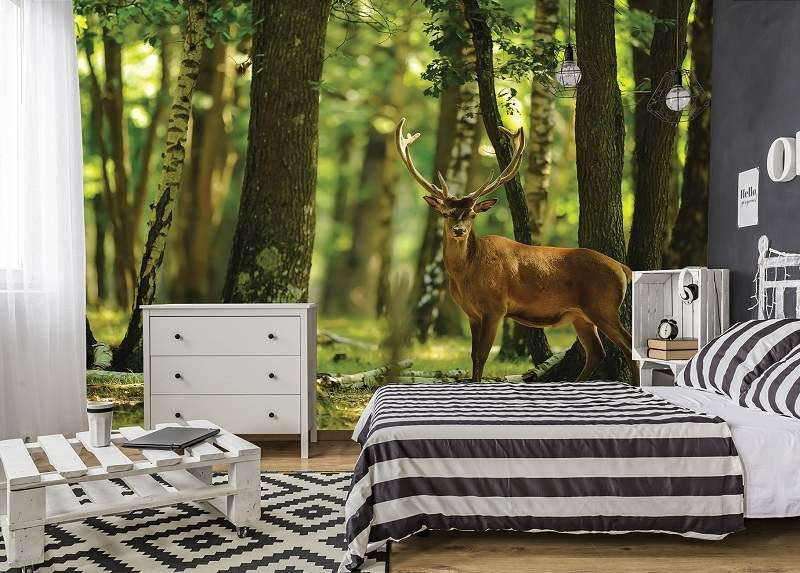 Deer in the forest wall mural 2287