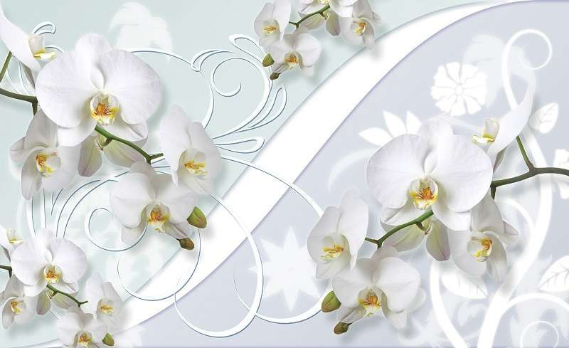 Milky blossom twigs bedroom wallpaper - 1206