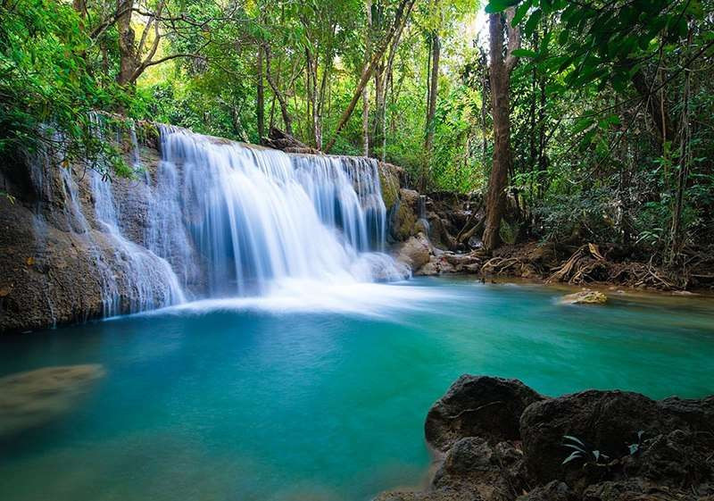 Waterfall, nature, green forest wall mural - 11893