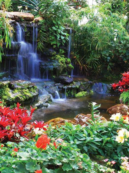 Zen Garden Waterfalls With Blossoms - 166a