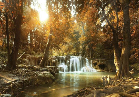Calm forest with small waterfall - 10470