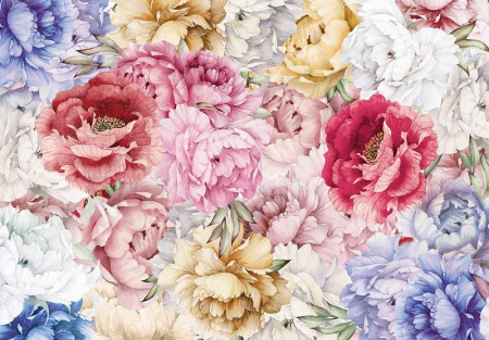 Nature flowers large colorful peonies wall mural - 14106