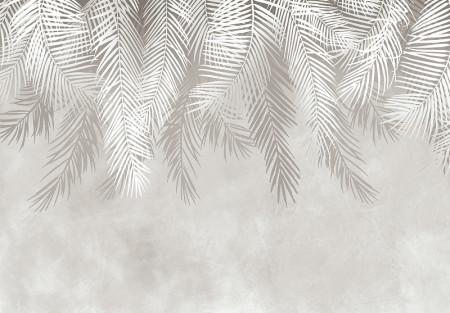 Palm leaves in white and grey wall mural - 13934