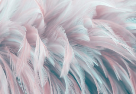 Pastel feathers wall mural - 13989