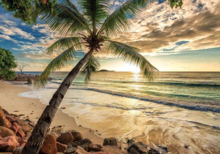Sunrise wall mural - 11732