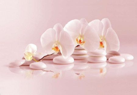 Gentle orchids and stones wall mural - 11406