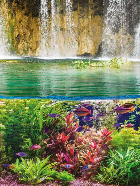 Underwater life and colored fish wall mural - 3226A