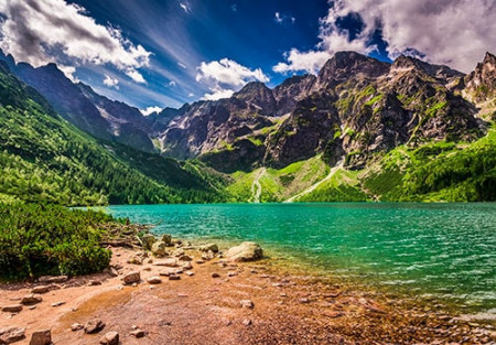 Wall Mural - 14303