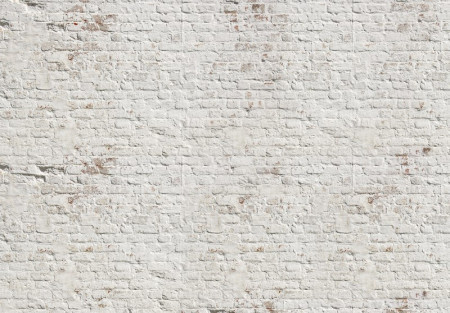 Bricks wall mural - 13992