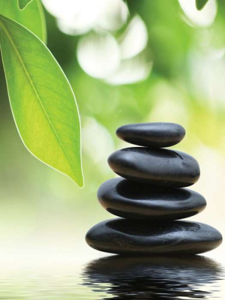 Zen stones, green leaves and water image - 174A