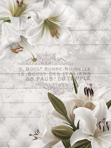 Daylilies wall mural - 10051A