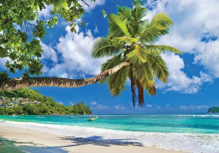Hammock tilted palm on a paradise beach - 10332