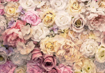 Charming roses wall mural - 13798