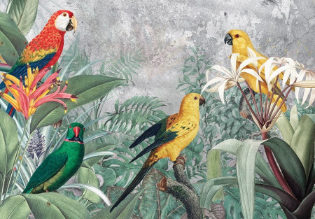 Parrots in the wild, painted kids wall murals - 13646