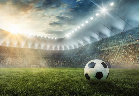 Sport Football Stadium Wall Mural - 14576