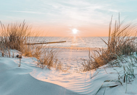 Sunset on a lonely beach wall mural - 14021
