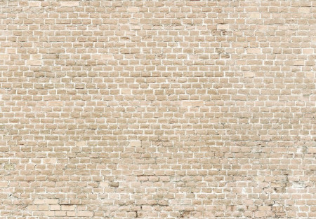 Beige bricks wall mural - 13994