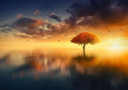 Enchanted tree in the middle of a lake wallpaper - 13003