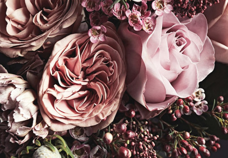 Nature flowers dusky pink floral wall mural - 14114