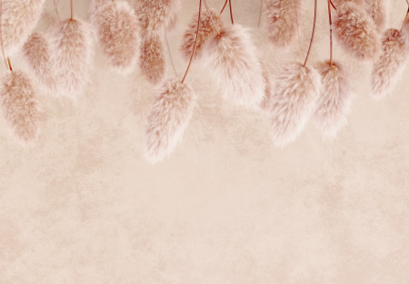 Imitation Structure Pampas Grass Wall Mural - 14533