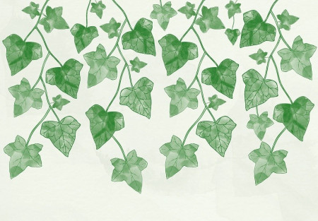 Nature leaf ivy green watercolour wall mural - 14141