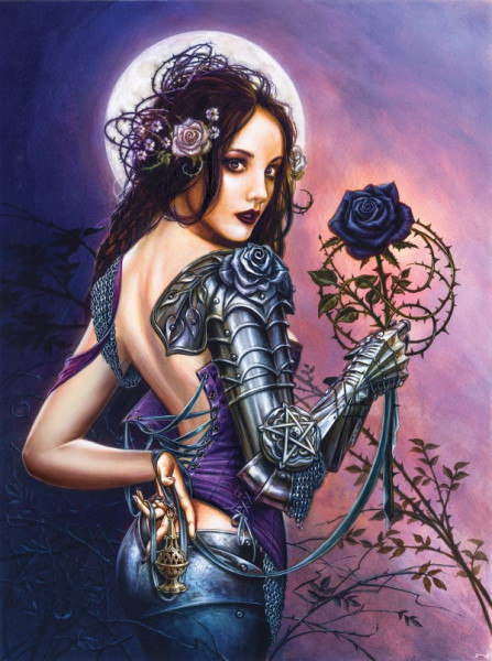 Alchemy - Rosa Noctis wall mural - 14045