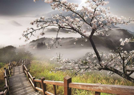 Early Spring blossomed tree wall mural - 12022