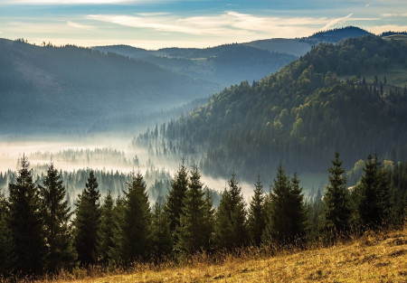 Landscape of Mountains Wall Mural - 14537