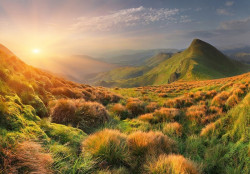 Captivating Mountain View Wall Mural - 14599