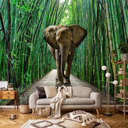 Elephant in bamboo wall Mural - 14344