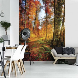 Forest path in the colored autumn wallpaper - 12108A