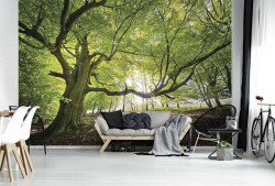 Green trees in a sunny wheather wall mural - 11799