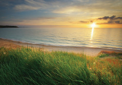Inspiring beach Wall Mural - 14625