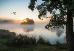 Landscape Nature Lake Mist Wall Mural - 14521
