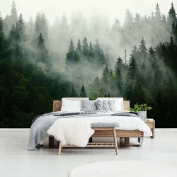 Misty forest wallpaper - 13026