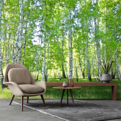 Nature Forest Birch Green Trees wall mural - 14182