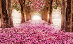 Spring inspiration wall mural - 851
