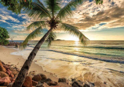 Sunrise wall mural - 11732