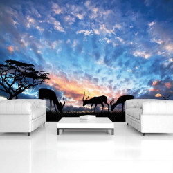 Antiloops, animal wallpapers, Africa - 12642