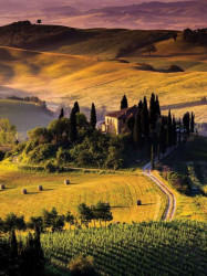 Countryside landscape photo wall mural - 169A