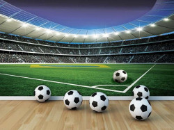 Football field, wall mural for boys - C04128