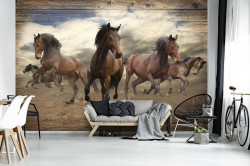 Free running horses, wild animals wall paper - 10083A