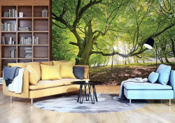 Green trees in a sunny wheather wall mural - 11799